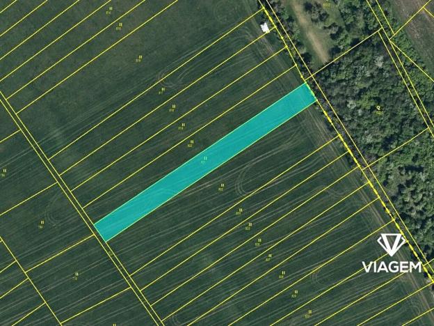 Prodej lesa, Žiželice, 2136 m2