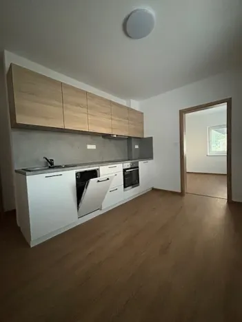 Pronájem ubytování, Olomouc, Litovelská, 120 m2