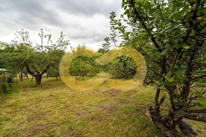 Prodej zahrady, Plzeň, Guldenerova, 731 m2