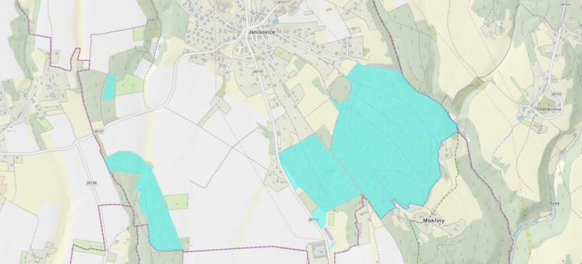 Prodej lesa, Jenišovice, 718705 m2