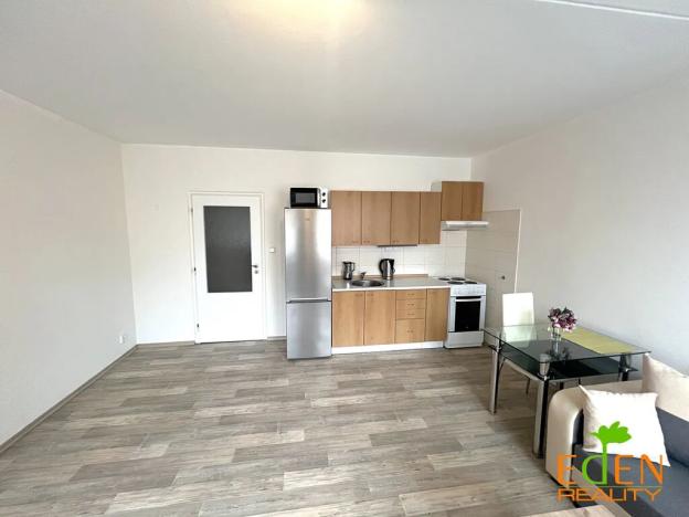 Pronájem bytu 1+kk, Plzeň, Krašovská, 30 m2
