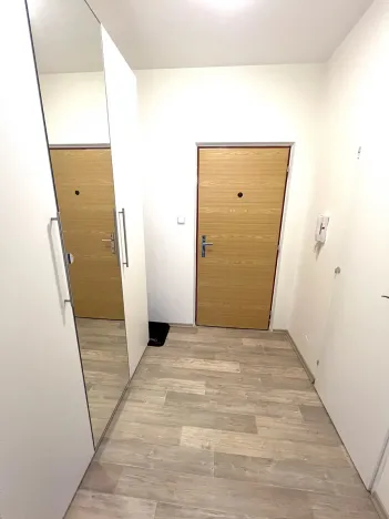 Pronájem bytu 1+kk, Plzeň, Krašovská, 30 m2