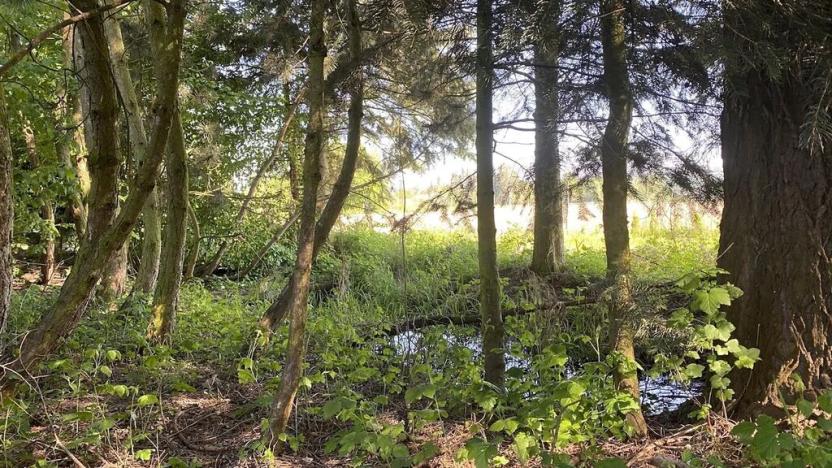 Prodej pozemku pro bydlení, Plzeň, 1019 m2