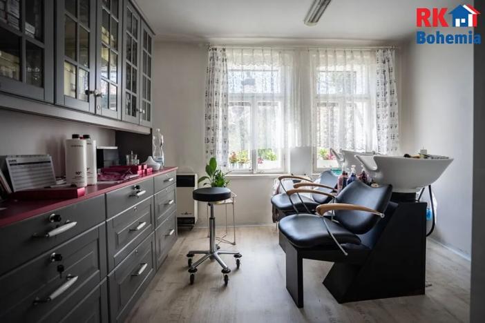 Prodej komerční nemovitosti, Mladá Boleslav, Železná, 552 m2