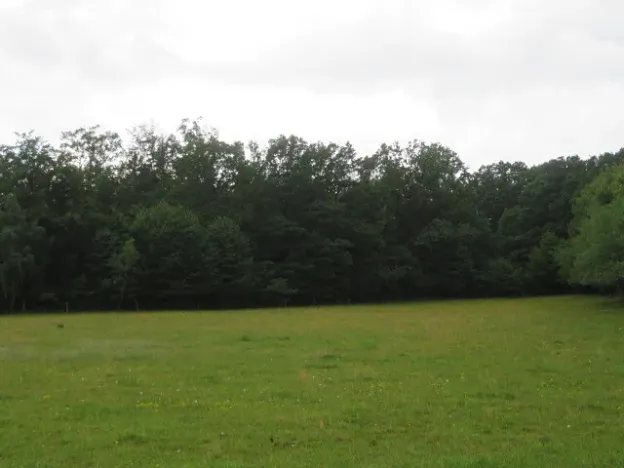 Dražba lesa, Hrabišín, 23811 m2