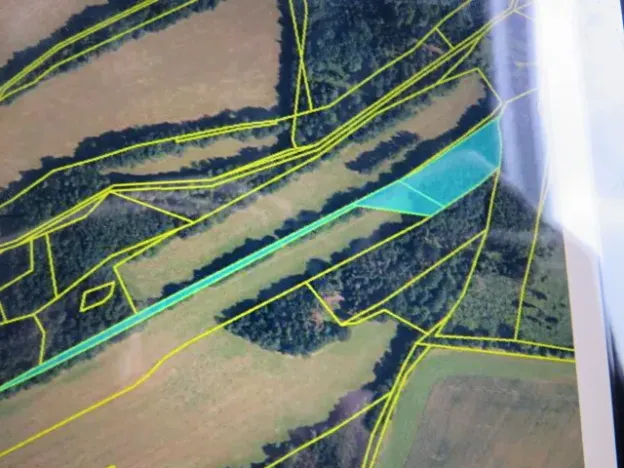 Dražba lesa, Hrabišín, 23811 m2