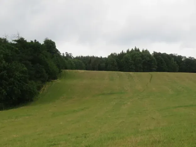 Dražba lesa, Hrabišín, 23811 m2