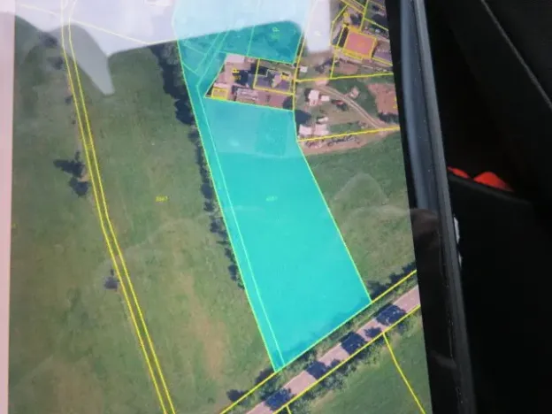 Dražba lesa, Hrabišín, 23811 m2