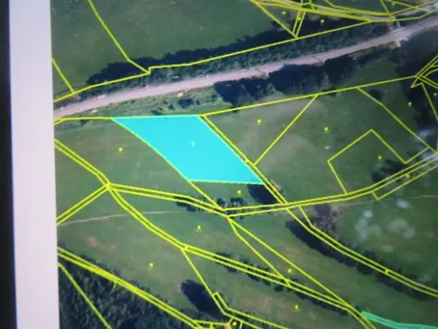 Dražba lesa, Hrabišín, 23811 m2