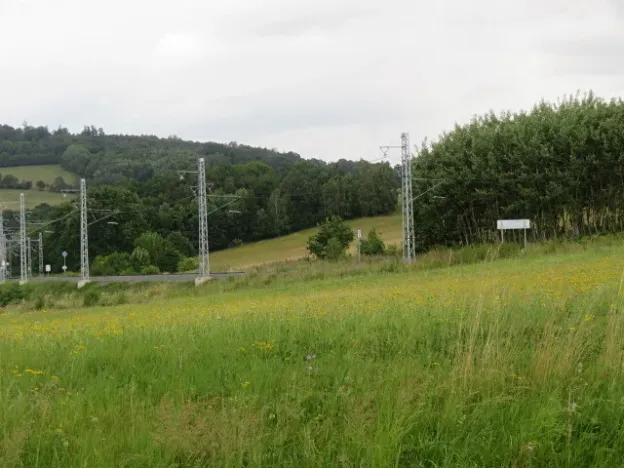 Dražba lesa, Hrabišín, 23811 m2