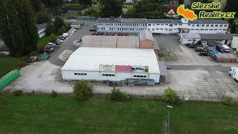 Pronájem skladu, Ostrava, Výškovická, 907 m2