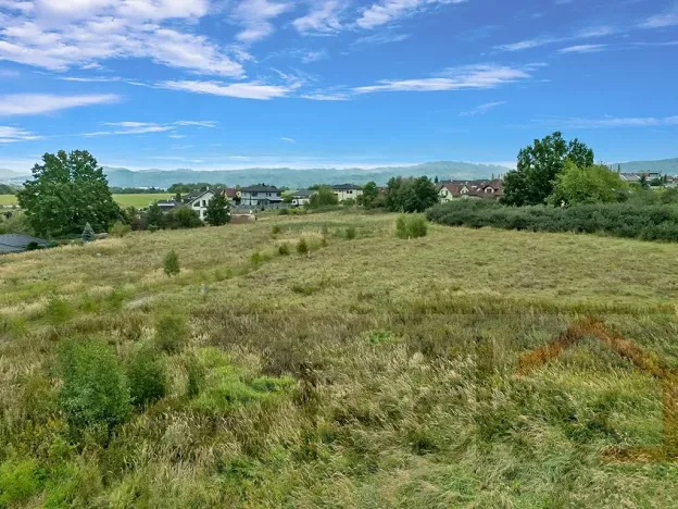 Prodej pozemku pro bydlení, Jenišov, 10730 m2