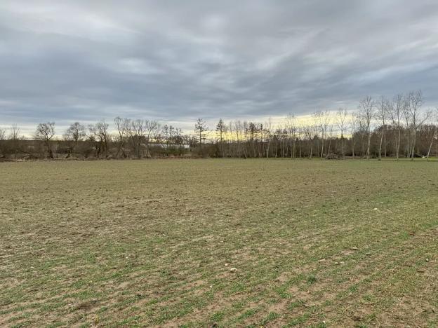 Prodej sadu/vinice, Malotice, 12163 m2