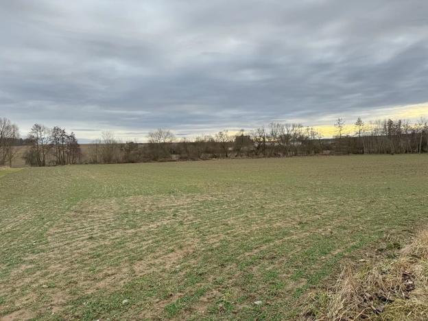 Prodej sadu/vinice, Malotice, 12163 m2