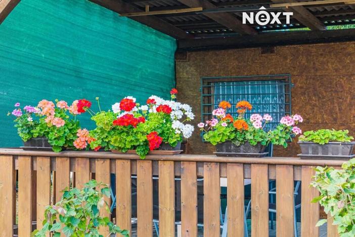 Prodej zahrady, Žatec, 459 m2