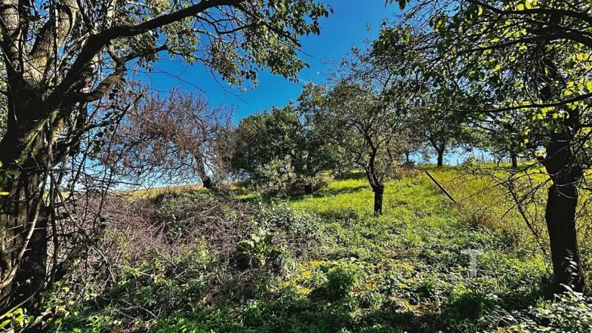 Prodej zahrady, Kyjov, 1046 m2