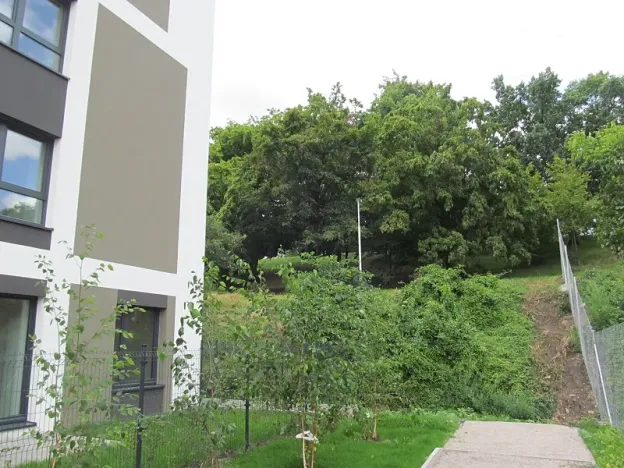 Prodej kanceláře, Praha - Žižkov, Olgy Havlové, 71 m2