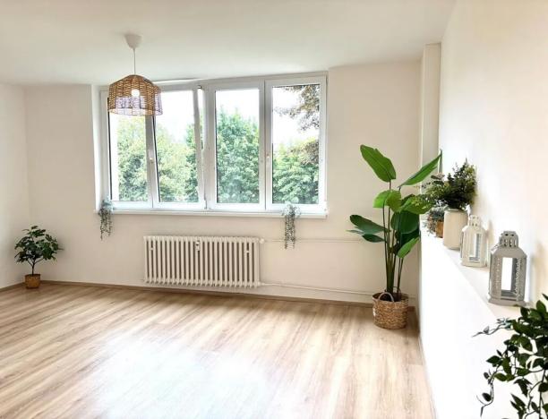 Pronájem bytu 2+kk, Meziboří, J. A. Komenského, 48 m2