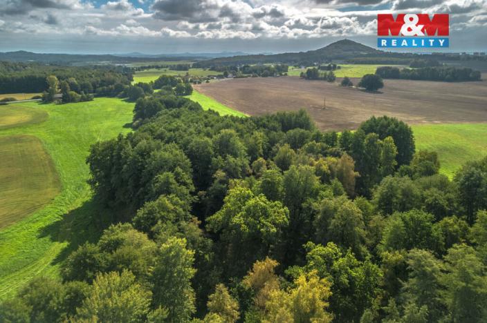 Prodej rybníku, Nový Bor, 19785 m2