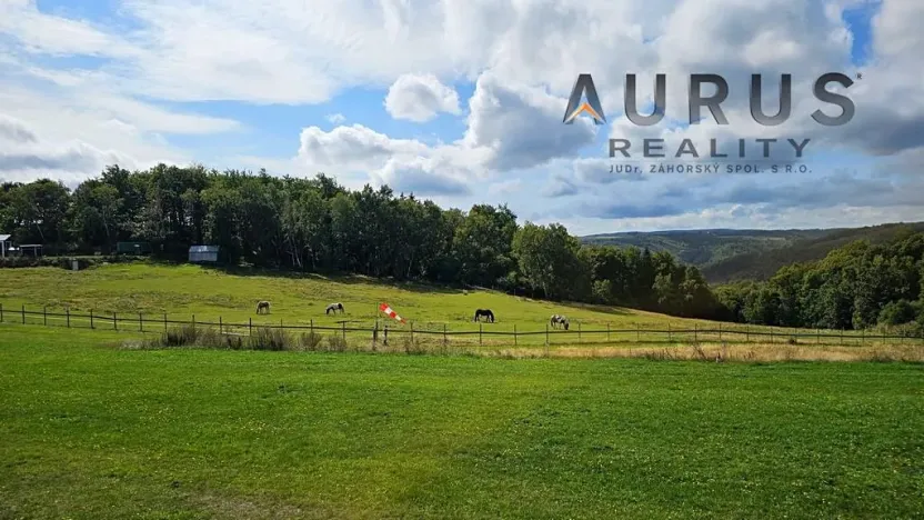 Prodej louky, Blatno, 34886 m2