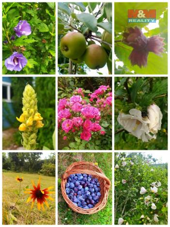 Prodej zahrady, Terezín, 489 m2