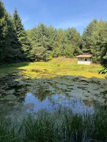 Prodej pozemku, Trutnov, 26242 m2