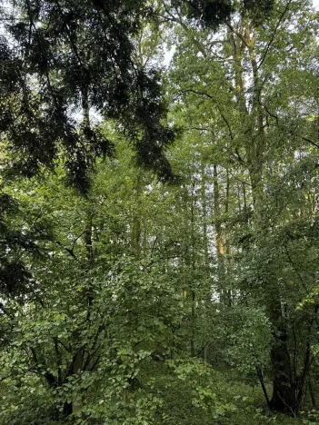 Prodej podílu pozemku, Bohuslavice, 2784 m2