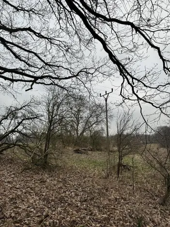 Prodej podílu lesa, Doksy, 2664 m2