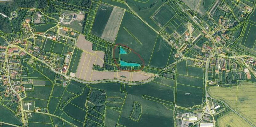 Prodej lesa, Třebohostice, 3144 m2