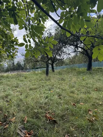 Prodej pozemku, Velké Svatoňovice, 10821 m2