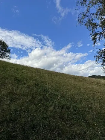 Prodej pozemku, Velké Svatoňovice, 10821 m2