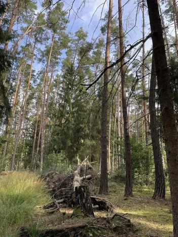 Prodej podílu pozemku, Velký Ratmírov, 3510 m2