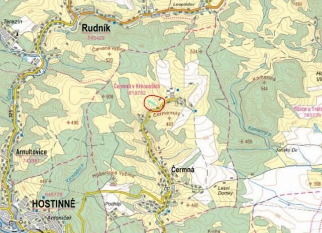 Prodej lesa, Čermná, 4219 m2