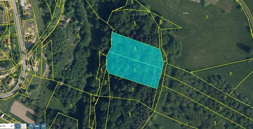 Prodej lesa, Loučky, 4938 m2