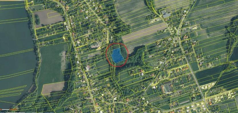 Prodej lesa, Bohumín, 5435 m2