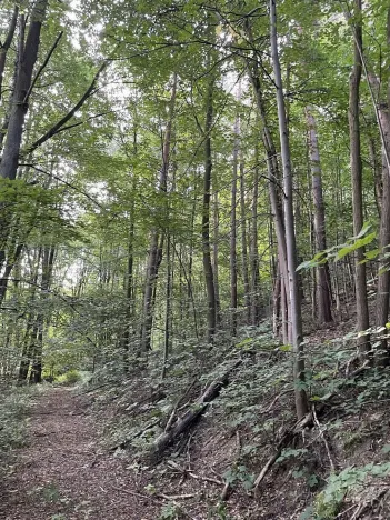 Prodej pozemku, Útěchov, 50152 m2