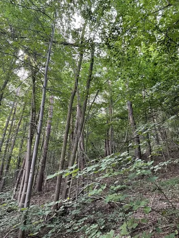 Prodej pozemku, Útěchov, 50152 m2