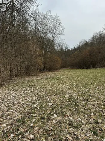 Prodej pozemku, Spálov, 12312 m2