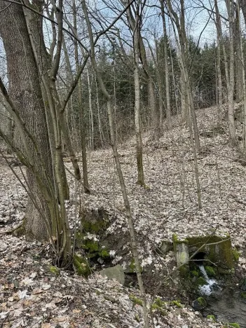 Prodej pozemku, Spálov, 12312 m2