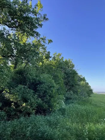 Prodej lesa, Oplot, 1697 m2