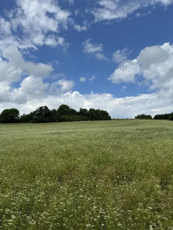 Prodej podílu pozemku, Suchdol, 9027 m2