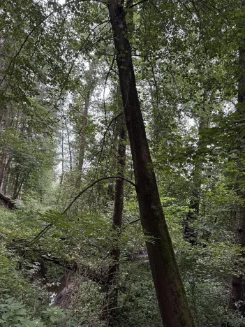 Prodej pozemku, Blíževedly, 2644 m2