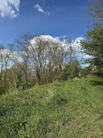 Prodej pozemku, Slavičky, 5511 m2