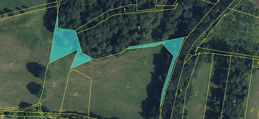 Prodej lesa, Jaroměř, 19276 m2