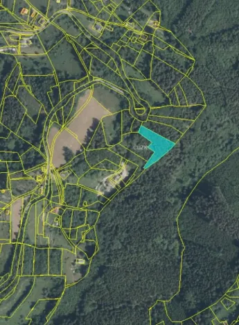 Prodej podílu lesa, Líšný, 1047 m2