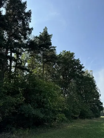 Prodej podílu pozemku, Hradiště, 3093 m2