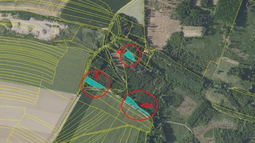 Prodej lesa, Vlašim, 3990 m2