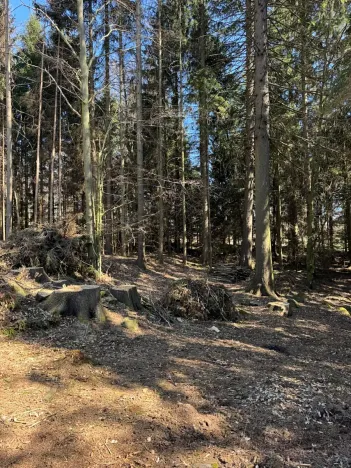 Prodej podílu pozemku, Studená, 18432 m2