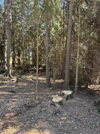 Prodej podílu pozemku, Studená, 18432 m2