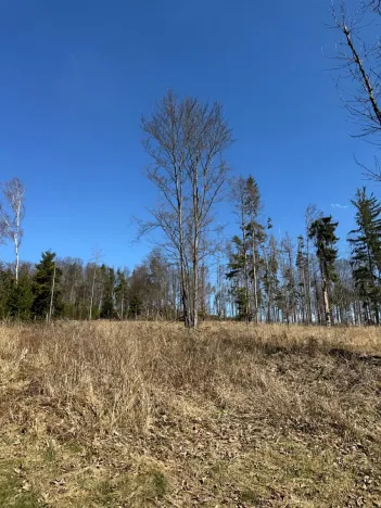 Prodej podílu pozemku, Studená, 18432 m2